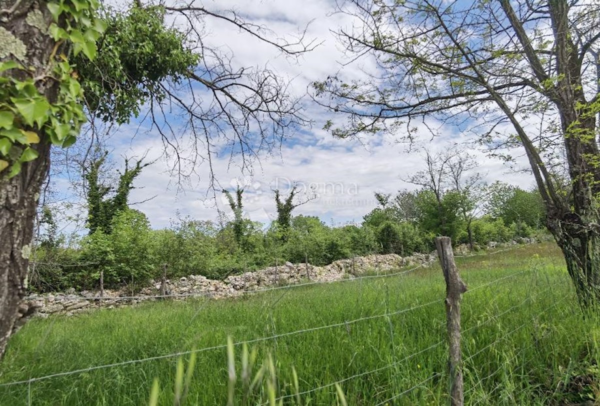 Land For sale - ISTARSKA VIŠNJAN