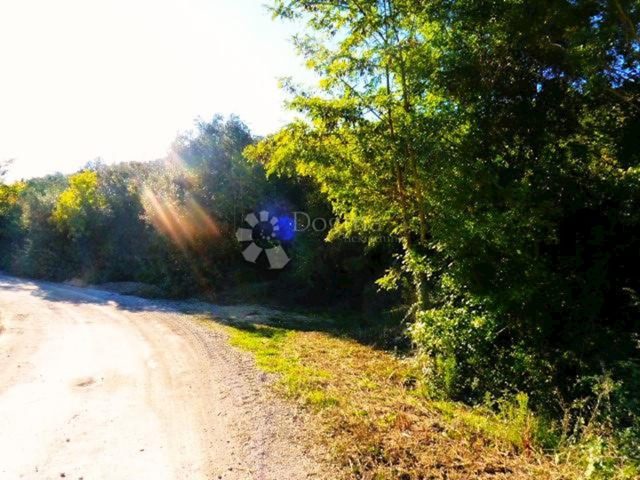 Parcela Naprodaj - Istarska Marčana - foto 3/3