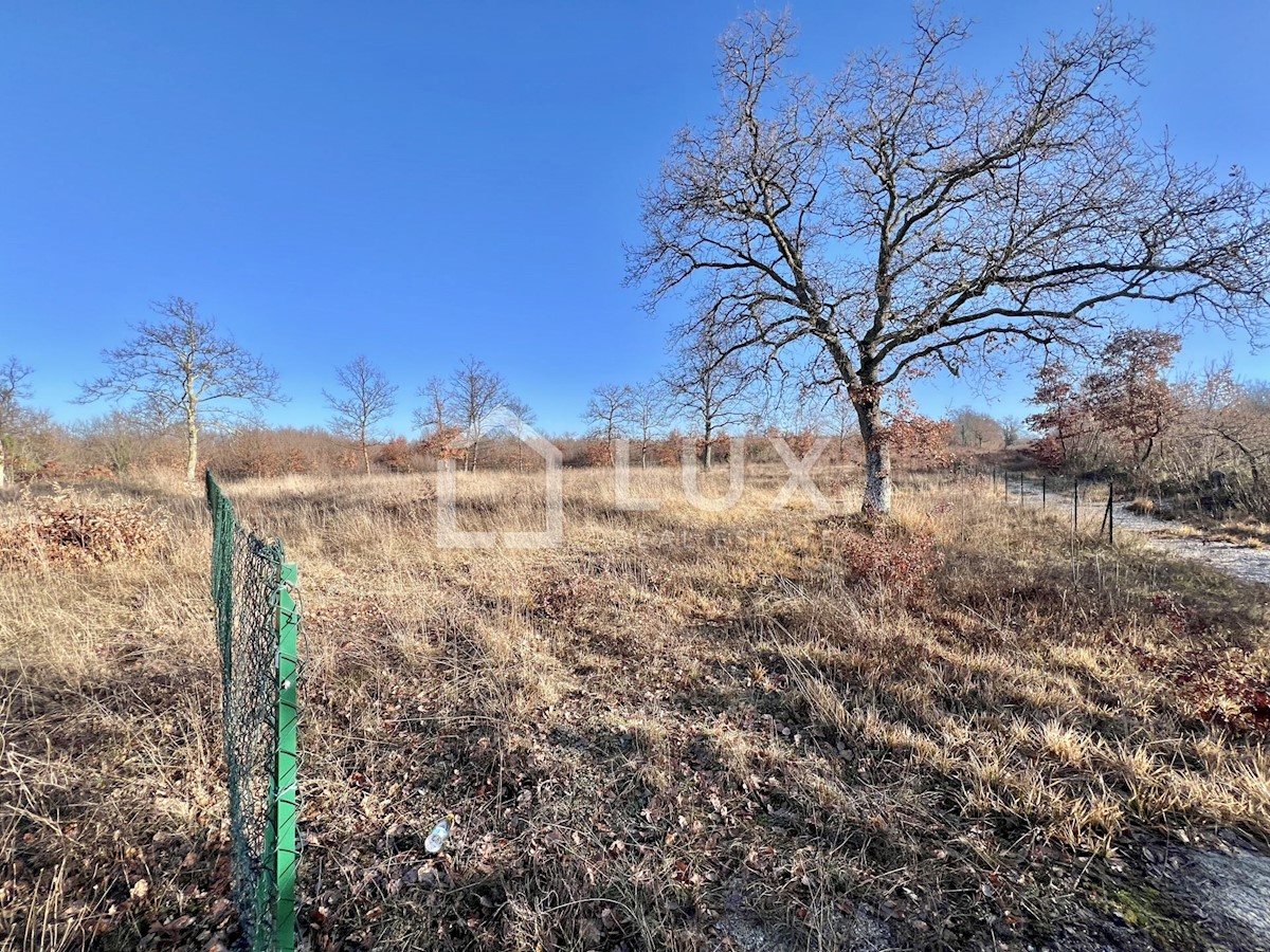 Terreno In vendita - ISTARSKA SVETVINČENAT