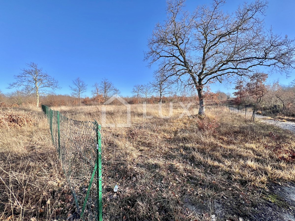 Terreno In vendita - ISTARSKA SVETVINČENAT