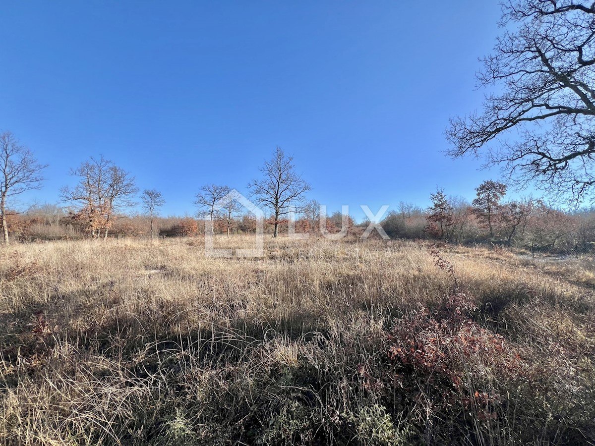 Terreno In vendita - ISTARSKA SVETVINČENAT