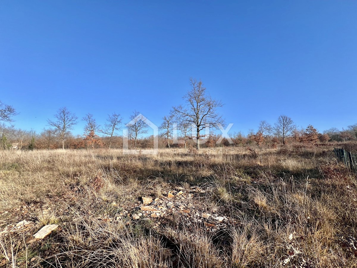 Terreno In vendita - ISTARSKA SVETVINČENAT