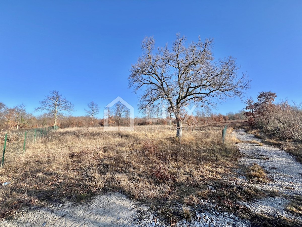 Terreno In vendita - ISTARSKA SVETVINČENAT