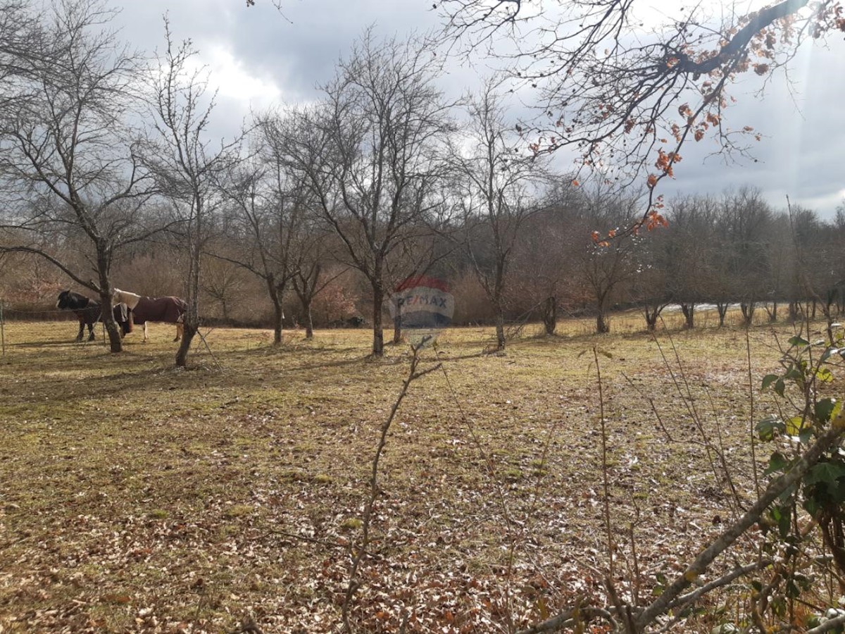 Działka Na sprzedaż - ISTARSKA ŽMINJ