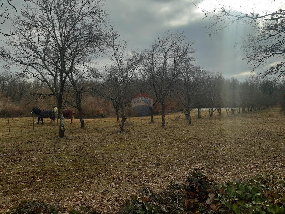 Działka Na sprzedaż - ISTARSKA ŽMINJ