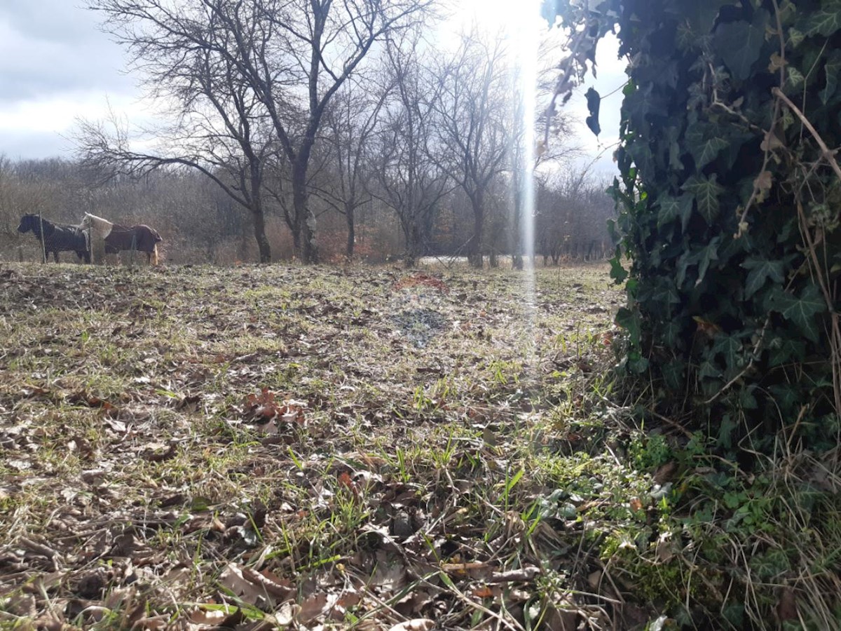 Działka Na sprzedaż - ISTARSKA ŽMINJ