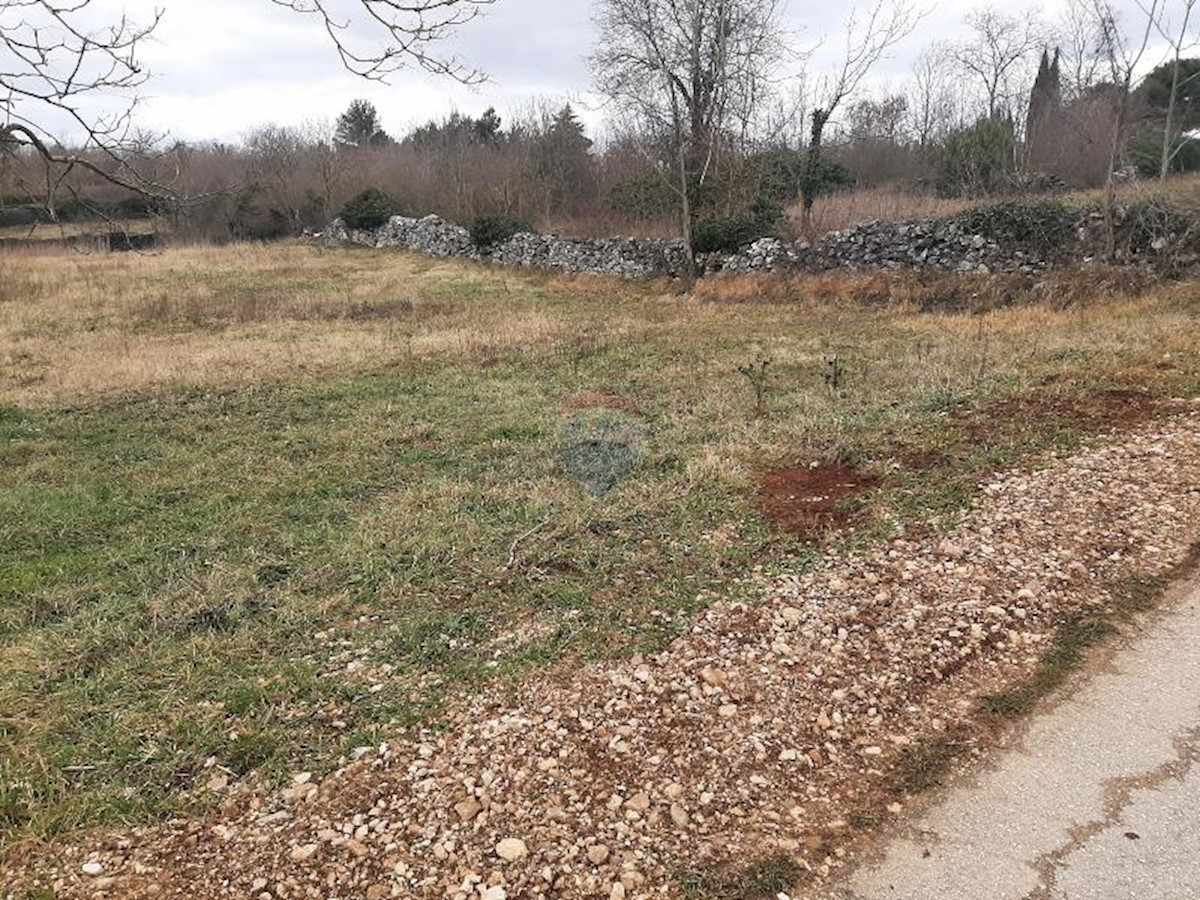 Terreno In vendita - Istarska žminj - foto 5/5