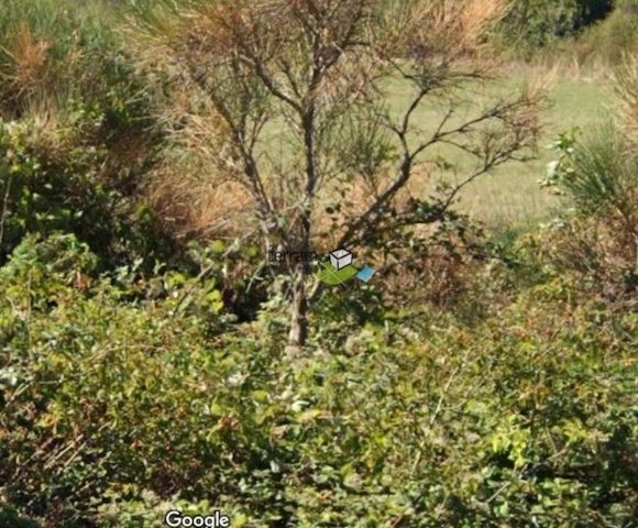 Terreno In vendita - Istarska Vodnjan - foto 2/2