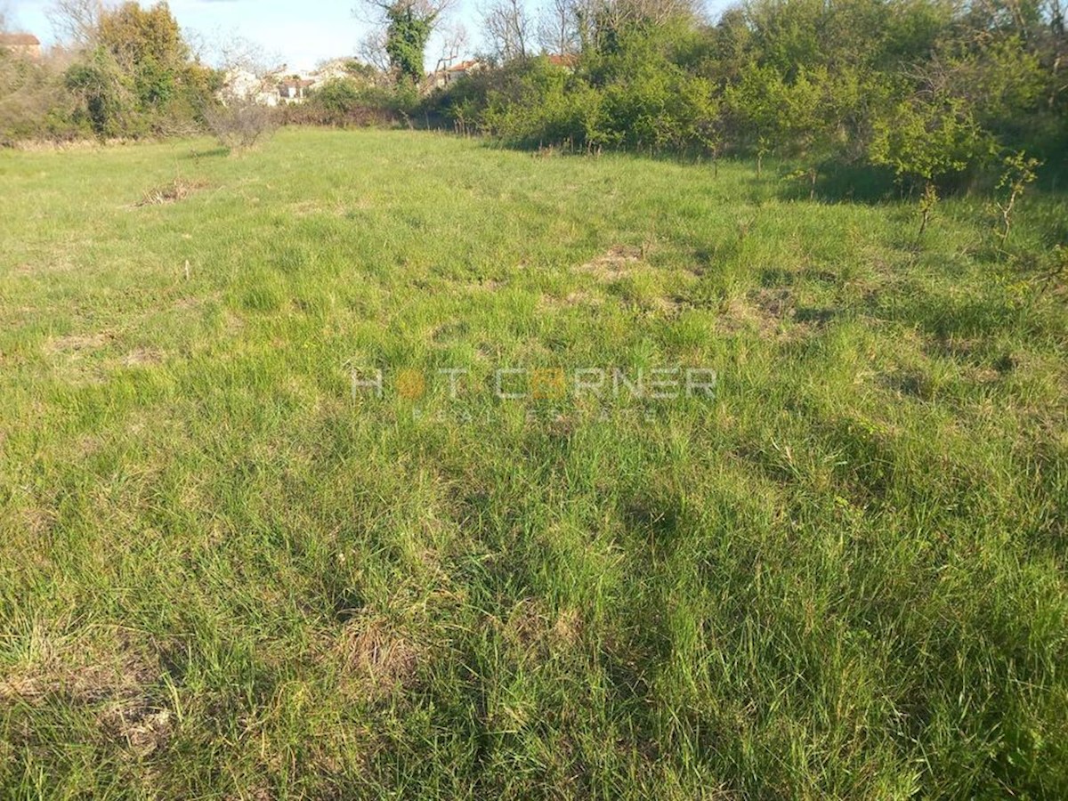 Land For sale - ISTARSKA SVETVINČENAT