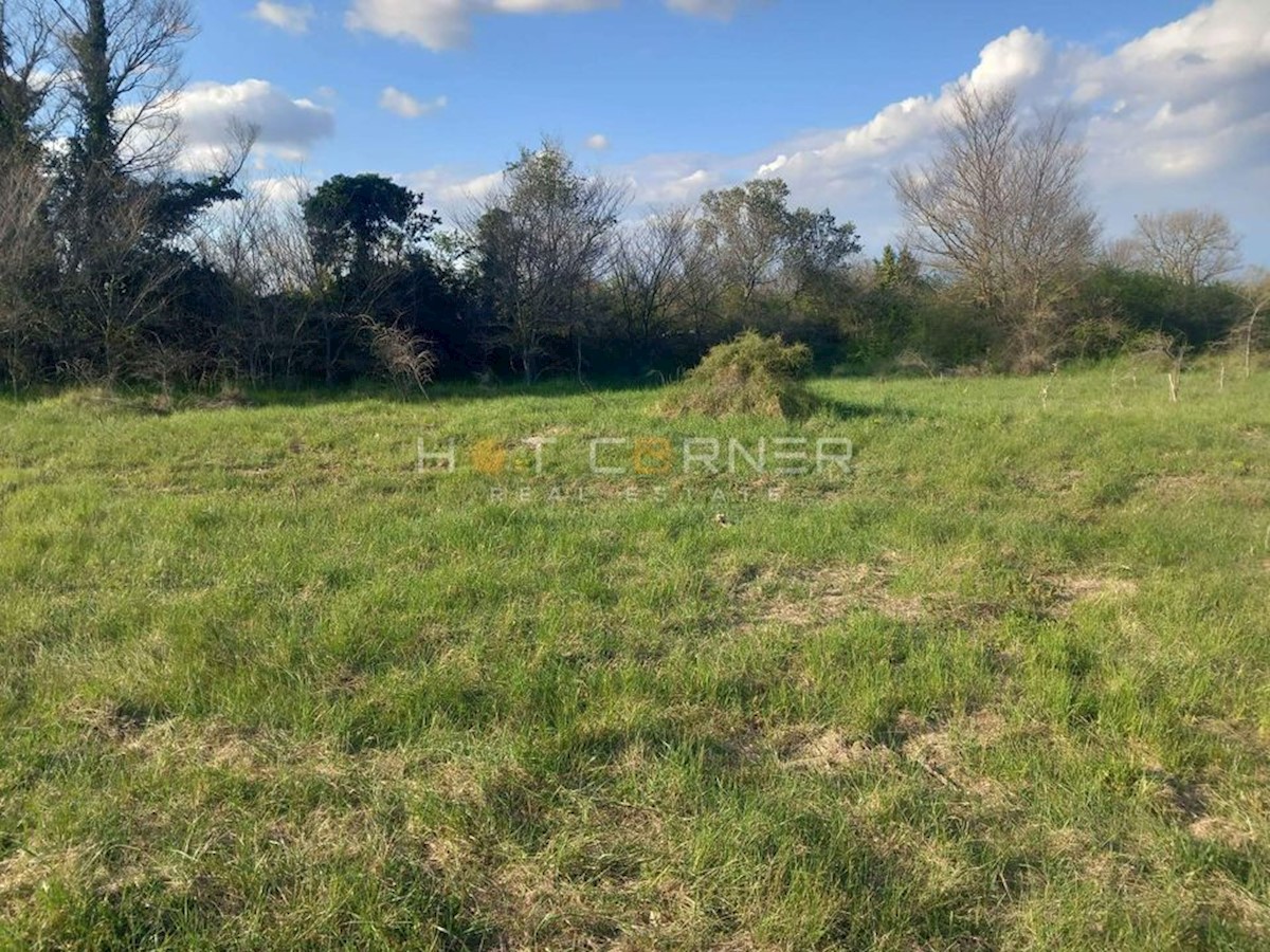 Land For sale - ISTARSKA SVETVINČENAT