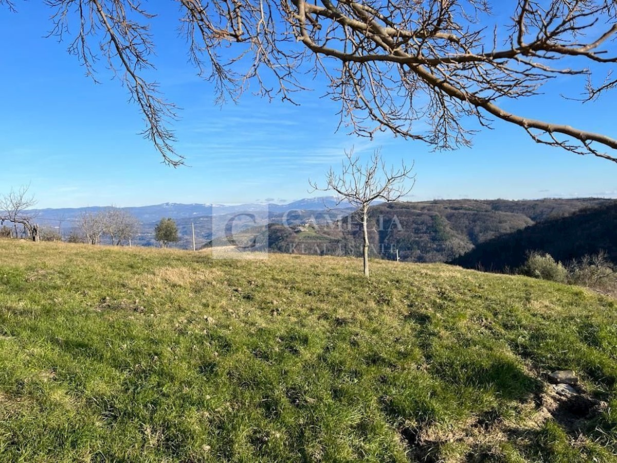 Parcela Na predaj - ISTARSKA PAZIN