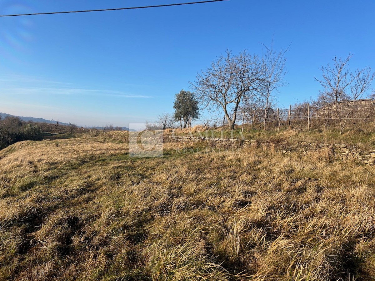 Parcela Na predaj - ISTARSKA PAZIN