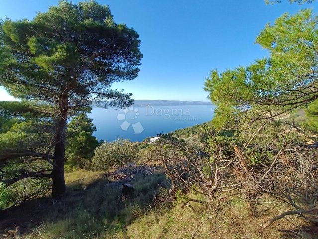 Land for sale 3974 m² – Marušići