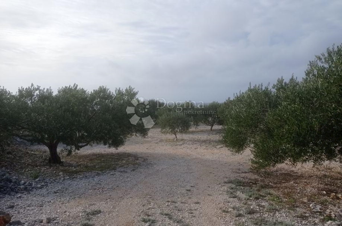 Terrain À vendre - ŠIBENSKO-KNINSKA ROGOZNICA