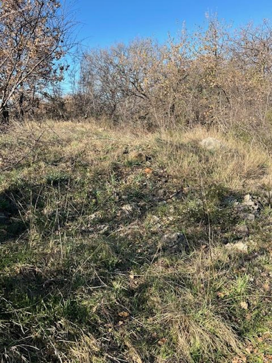 Land For sale - ZADARSKA POLIČNIK