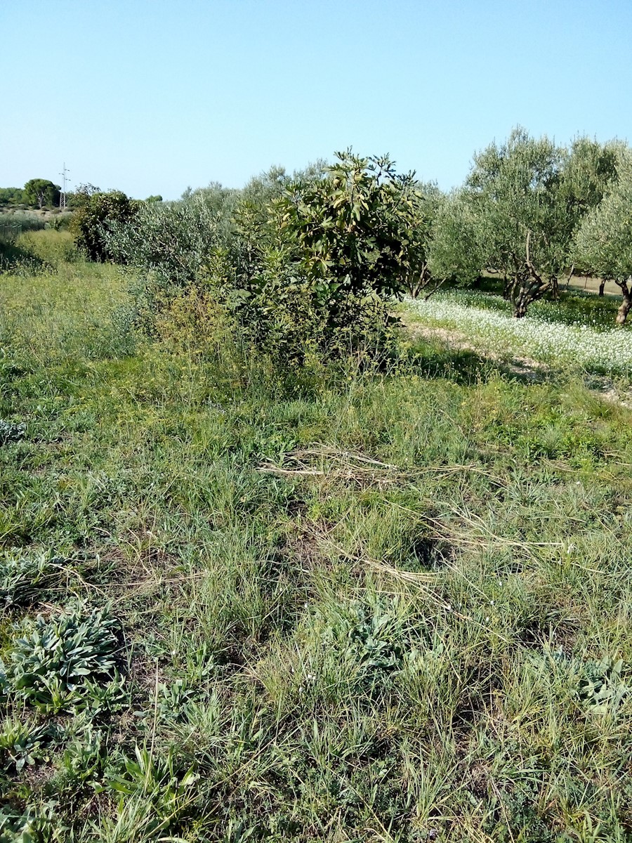 Grundstück Zu verkaufen - ŠIBENSKO-KNINSKA ŠIBENIK