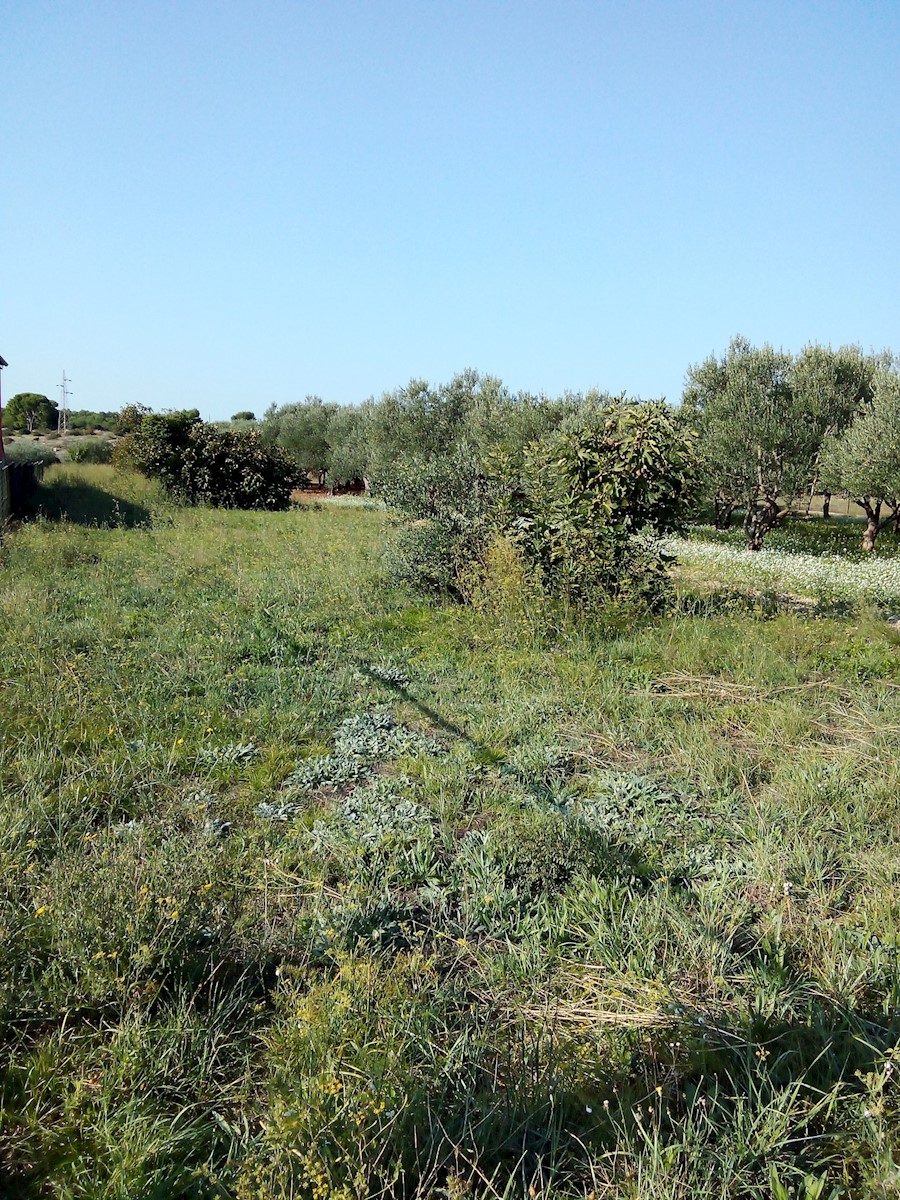 Terreno In vendita - ŠIBENSKO-KNINSKA ŠIBENIK