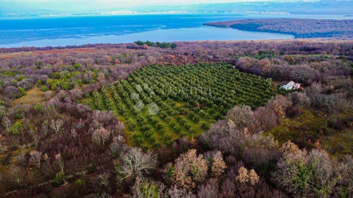Działka na sprzedaż 24399 m² – Milohnići