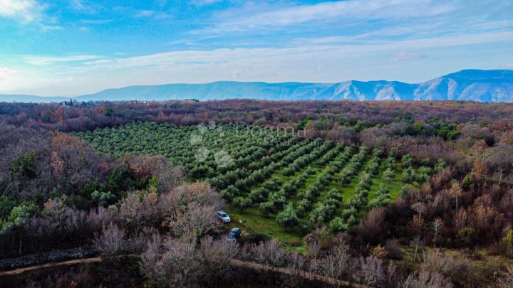 Terrain À vendre - Primorsko-goranska Krk - foto 2/15