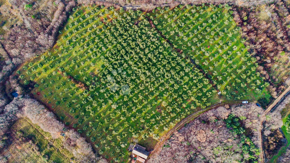 Terreno In vendita - PRIMORSKO-GORANSKA KRK