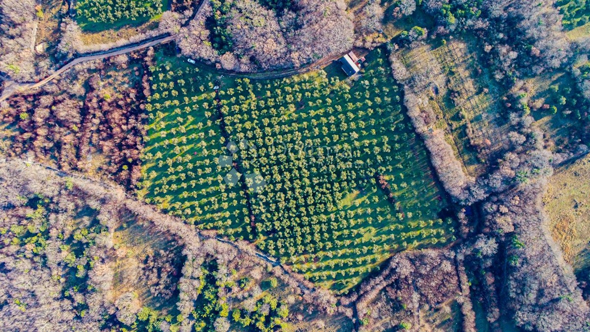 Terreno In vendita - PRIMORSKO-GORANSKA KRK