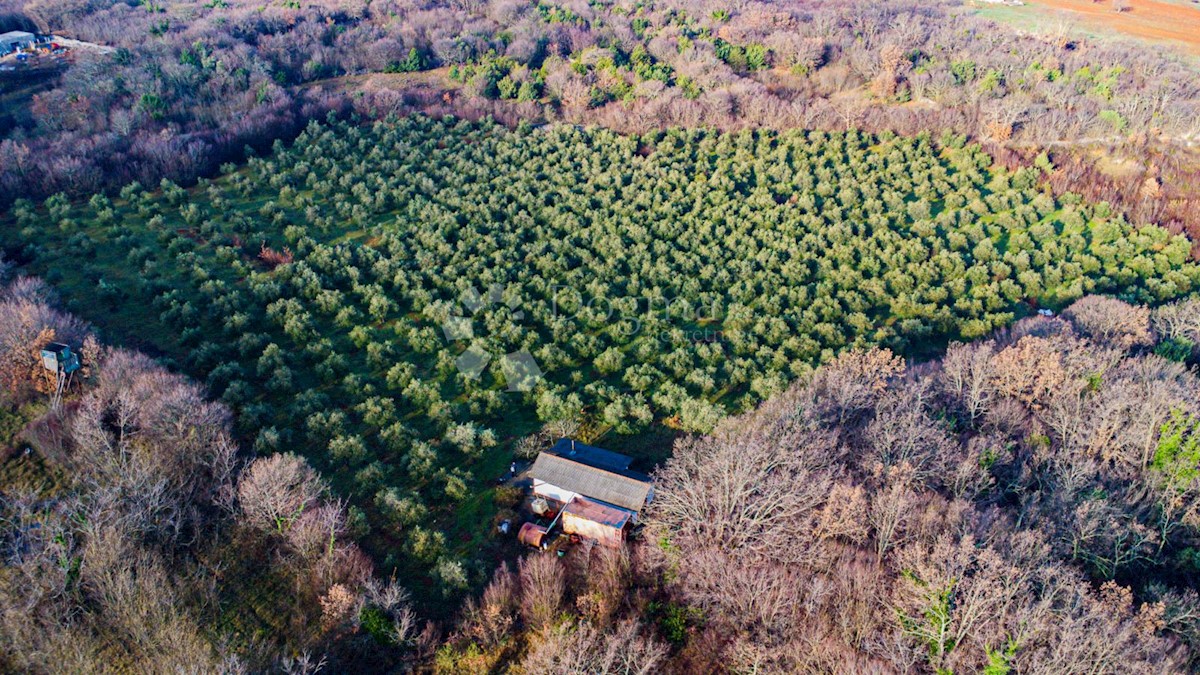 Terreno In vendita - PRIMORSKO-GORANSKA KRK