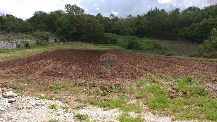 Parcela Naprodaj - Istarska Kanfanar - foto 4/4