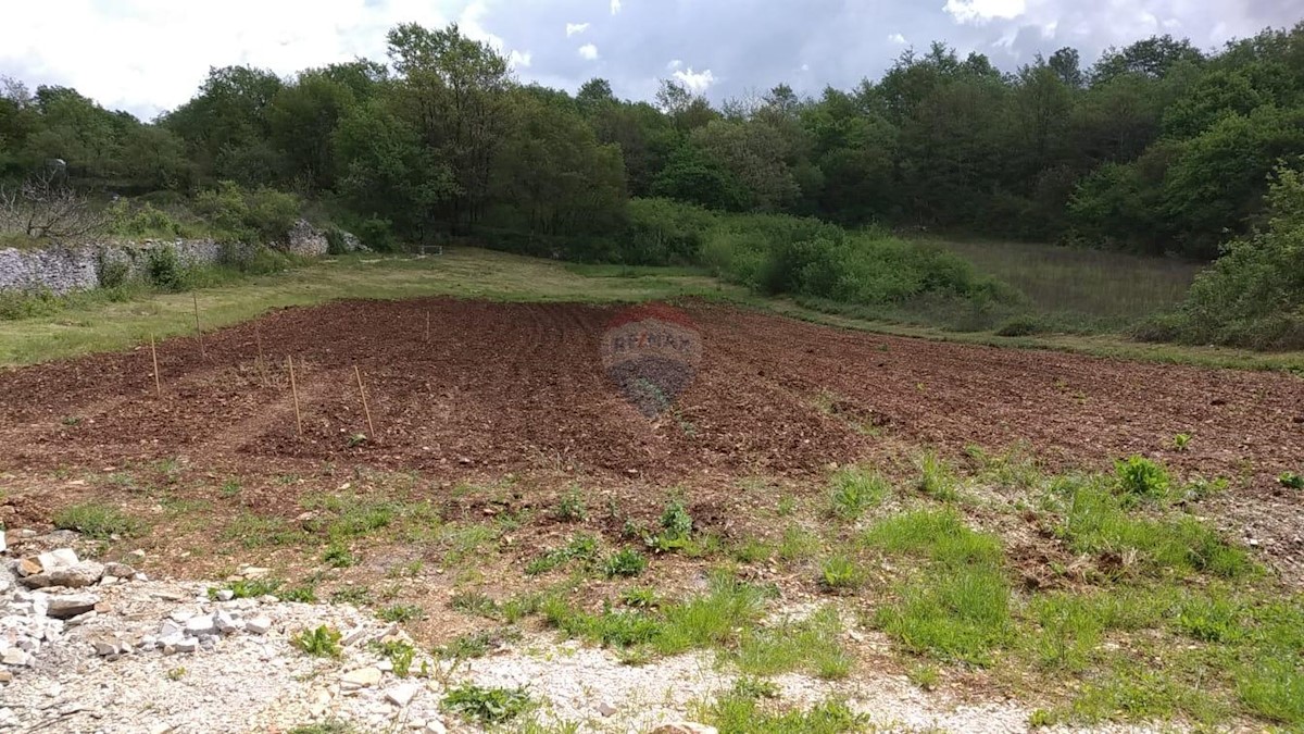 Parcela Naprodaj - ISTARSKA Kanfanar