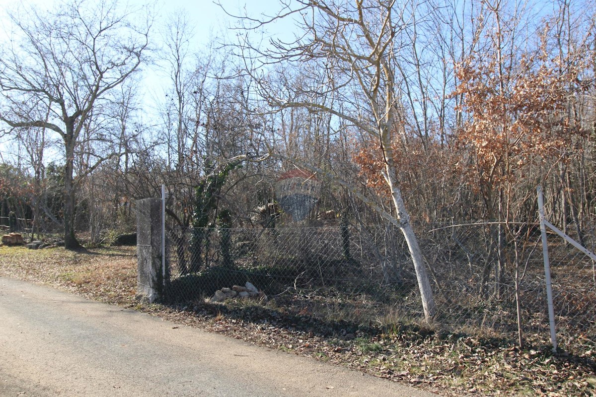 Terreno In vendita - ISTARSKA KAROJBA