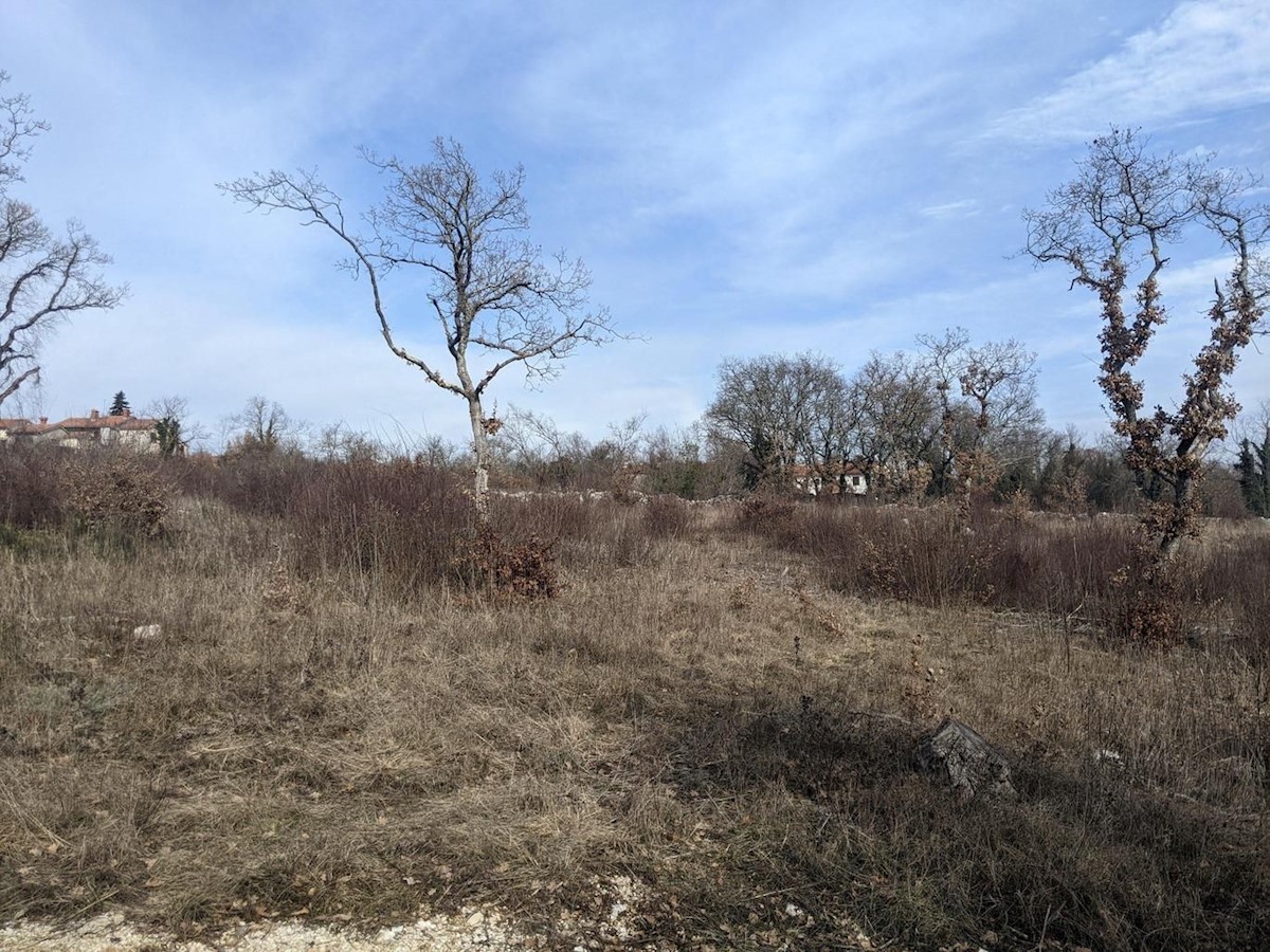 Pozemok Na predaj - ISTARSKA LABIN