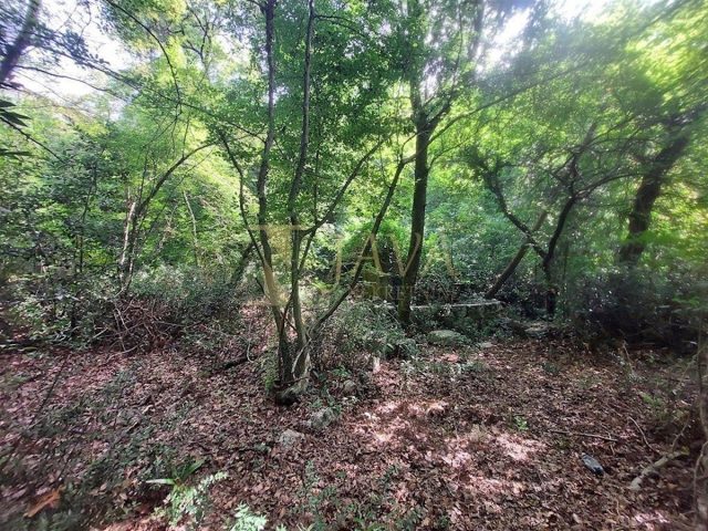 Grundstück zu verkaufen 1973 m² – Trinajstići
