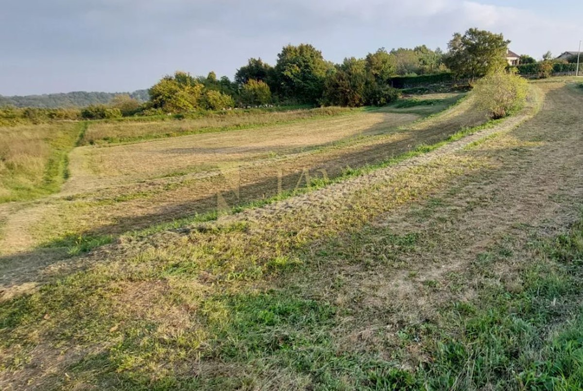 Pozemok Na predaj - ISTARSKA PAZIN