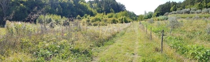 Grundstück Zu verkaufen - Istarska Buzet - foto 2/11