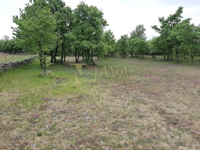 Działka na sprzedaż 3996 m² – Smoljanci
