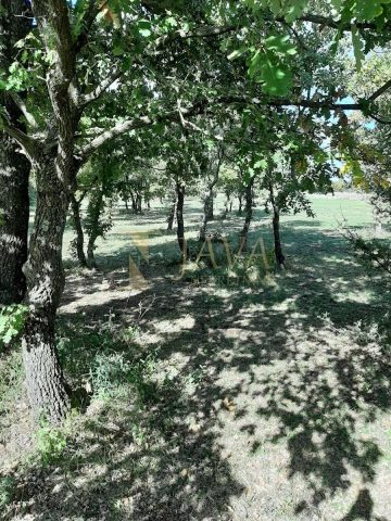 Terreno In vendita - Istarska Svetvinčenat - foto 3/4