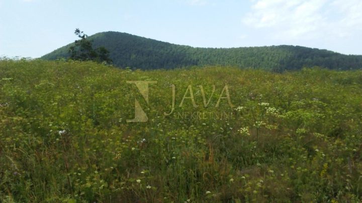 Land for sale 4921 m² – Begovo Razdolje