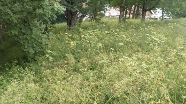 Parcela Naprodaj - Primorsko-goranska Mrkopalj - foto 4/4