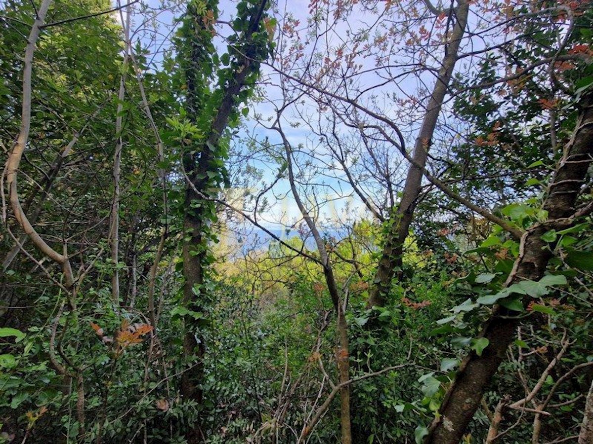 Terreno In vendita - PRIMORSKO-GORANSKA MOŠĆENIČKA DRAGA