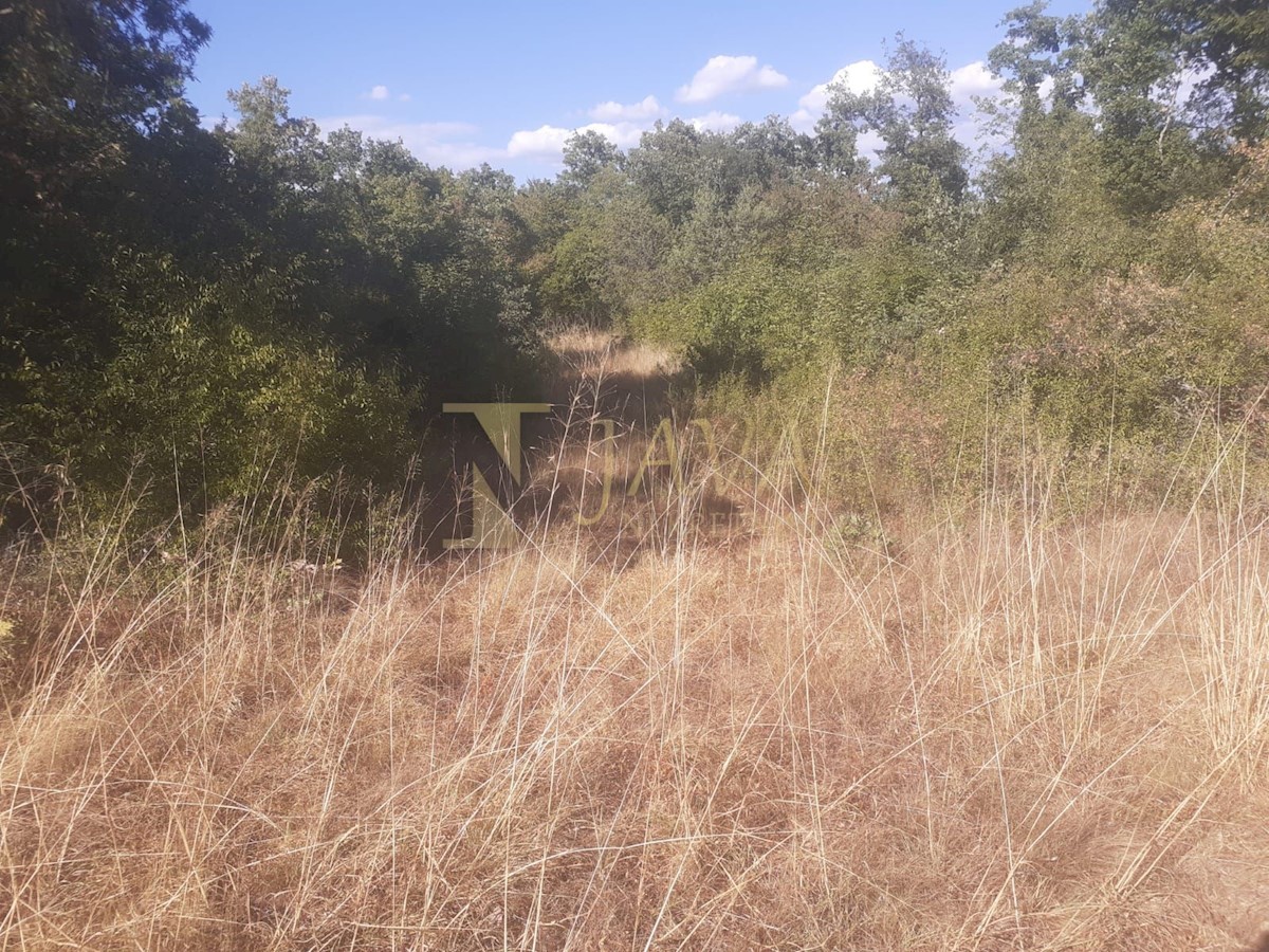 Terreno In vendita - ISTARSKA SVETVINČENAT