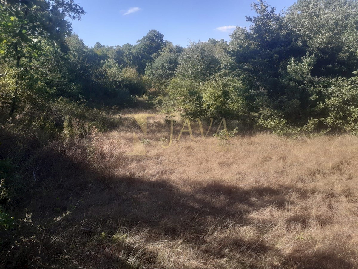 Terreno In vendita - ISTARSKA SVETVINČENAT