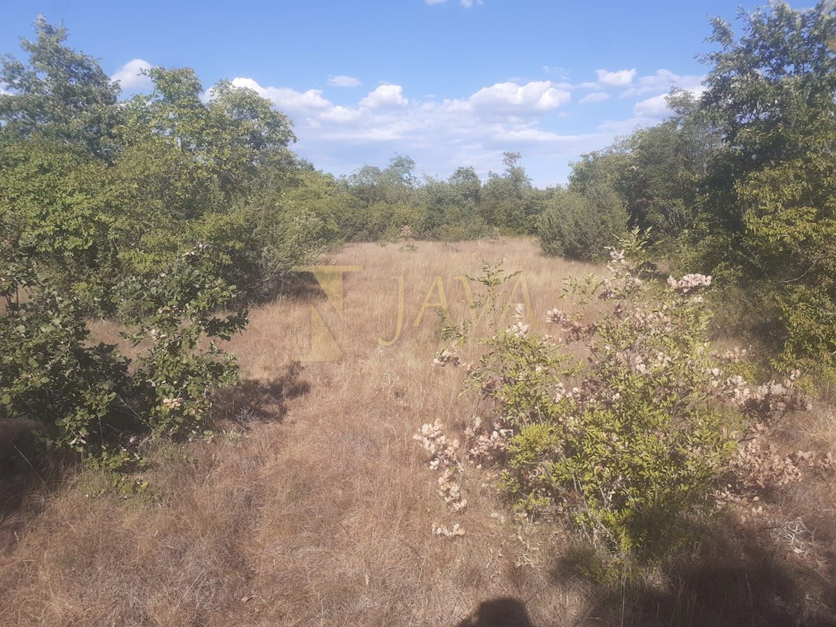 Terreno In vendita - ISTARSKA SVETVINČENAT