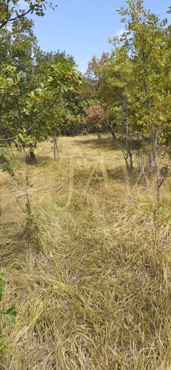 Terreno In vendita - PRIMORSKO-GORANSKA KOSTRENA