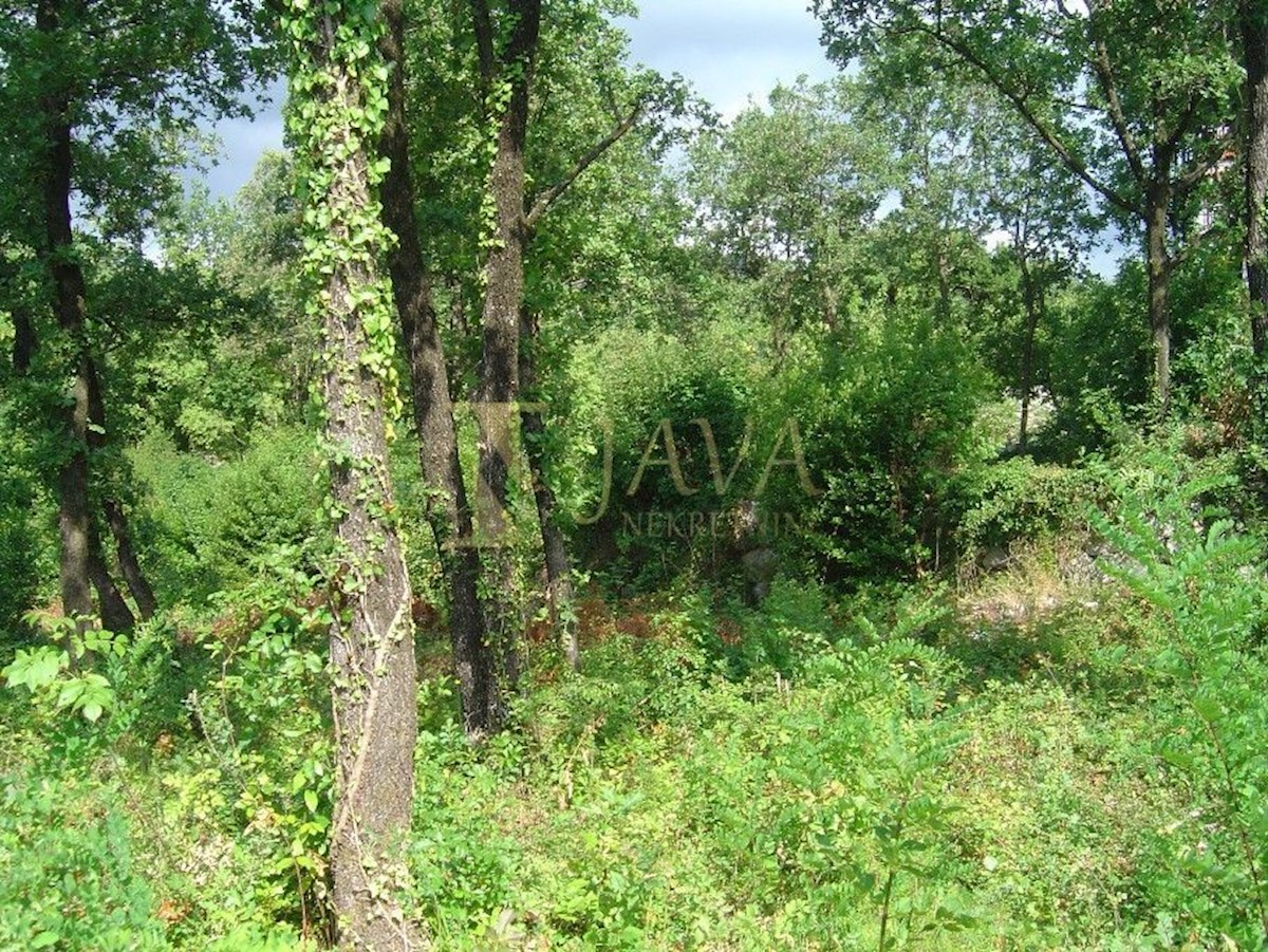 Terreno In vendita