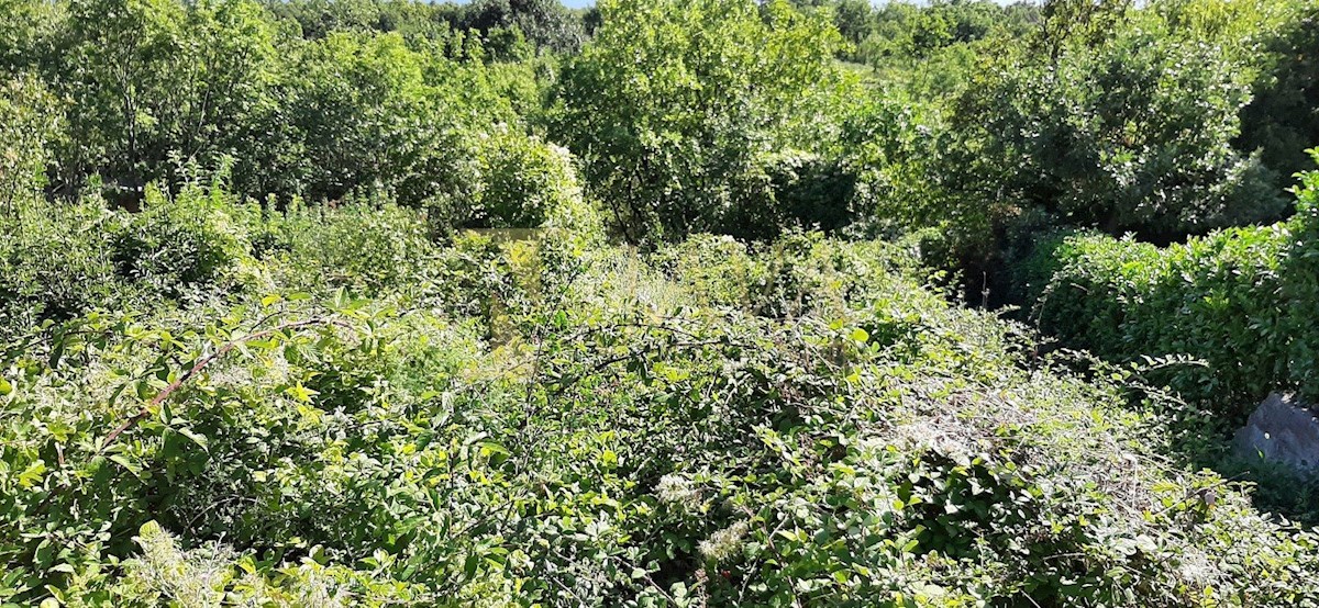 Terreno In vendita - PRIMORSKO-GORANSKA RIJEKA