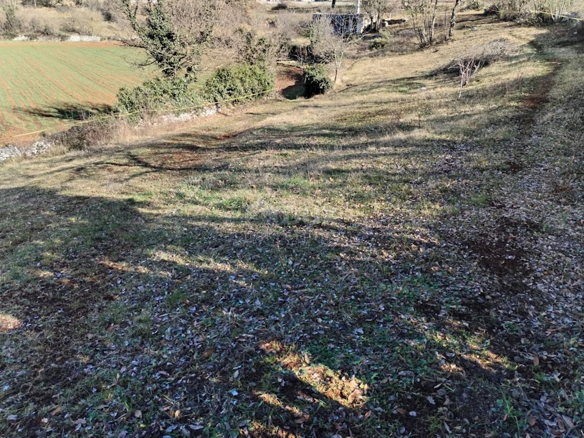 Terreno In vendita - ISTARSKA SVETVINČENAT