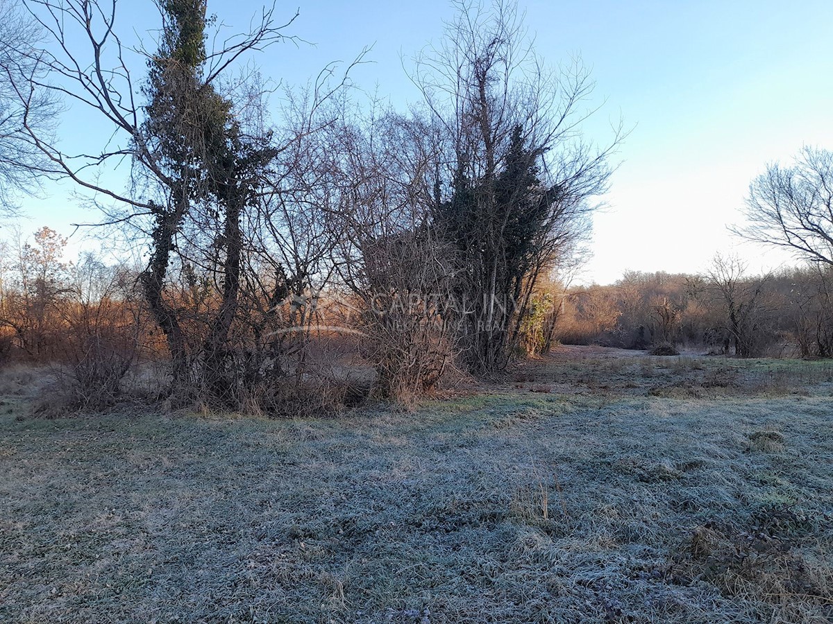 Pozemok Na predaj - ISTARSKA BARBAN