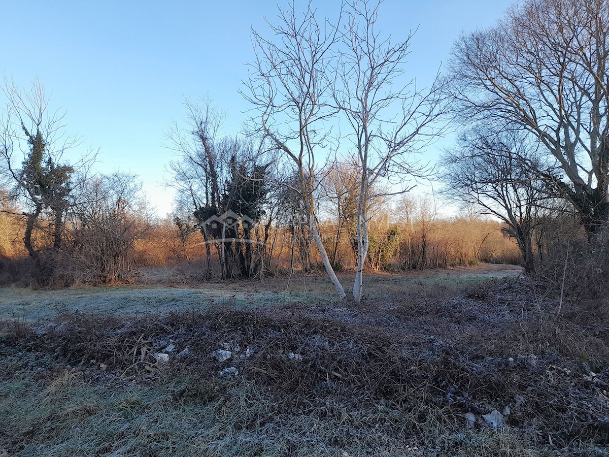 Terreno In vendita - ISTARSKA BARBAN