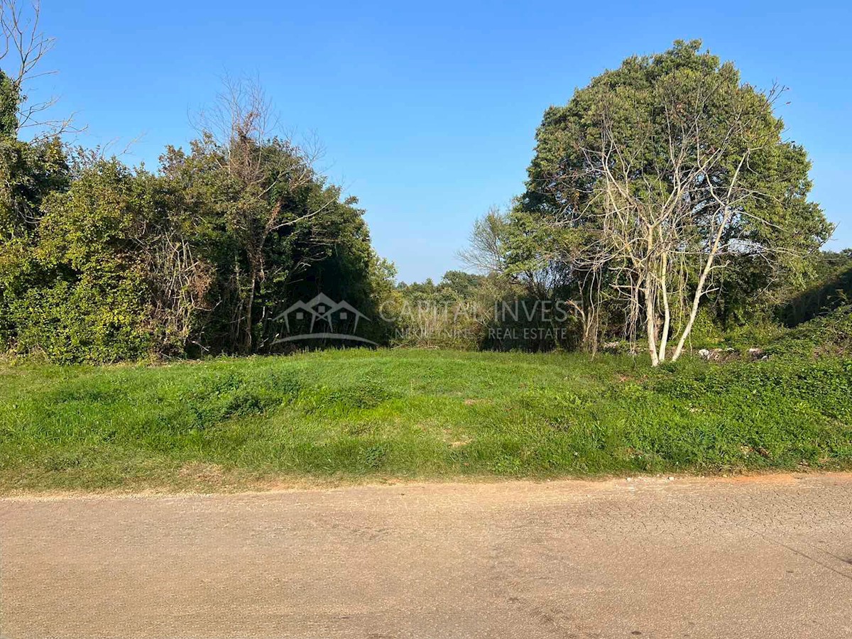 Land For sale - ISTARSKA BARBAN