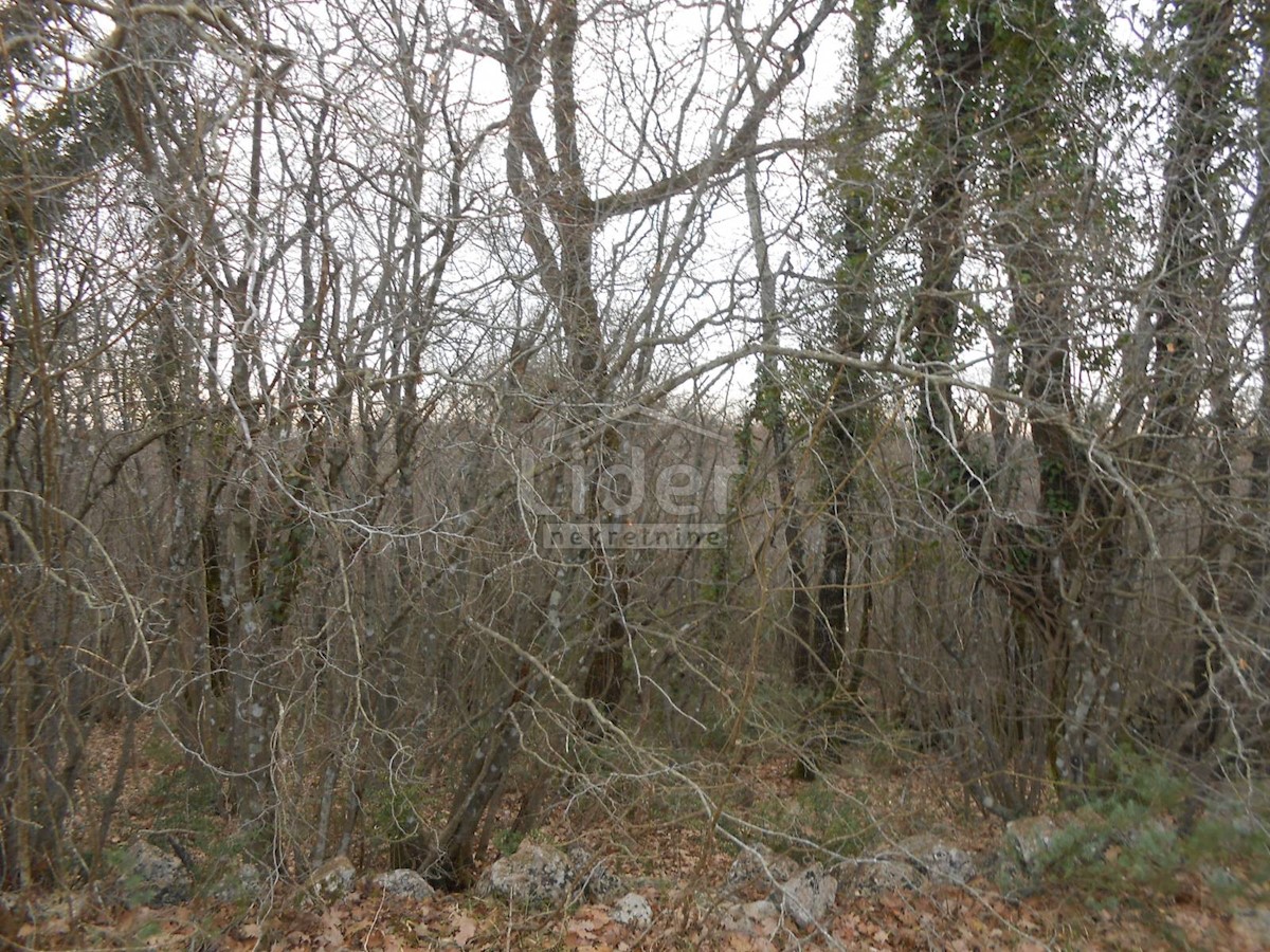 Land For sale - PRIMORSKO-GORANSKA KRK