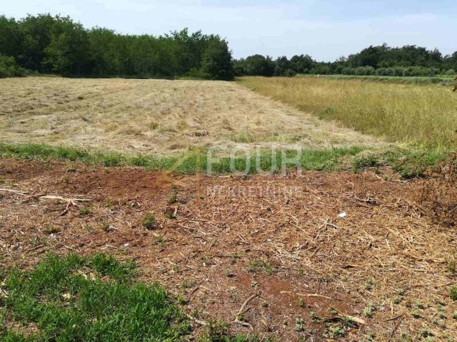 Terreno in vendita 4900 m² – Krnica
